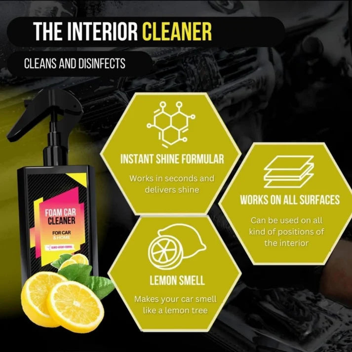 PlatinumShield X German Coating Spray & Foam Cleaner Combo šāØ
