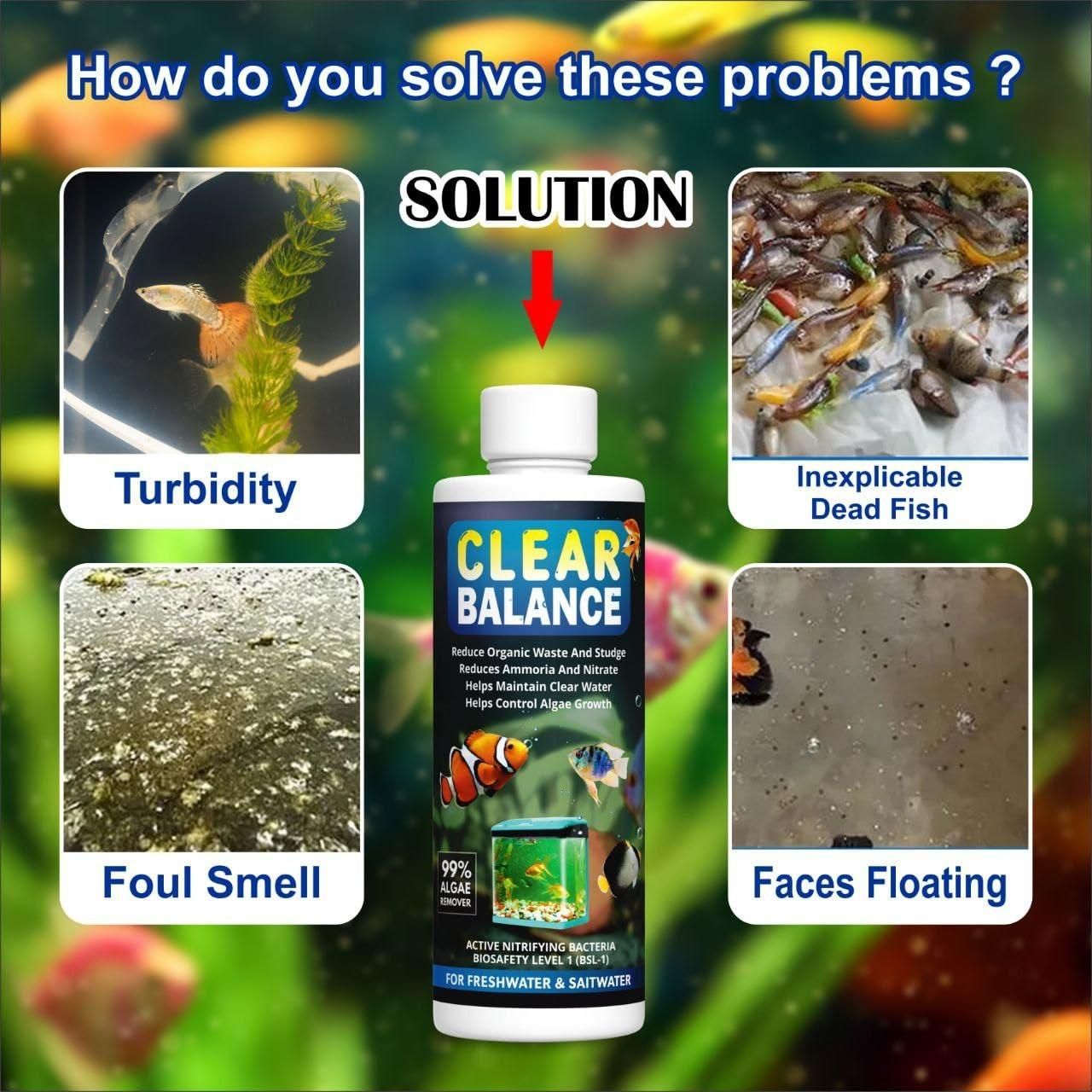 Clear Balance Fish Tank Water Purifier š (Buy 1 Get 1 Free)
