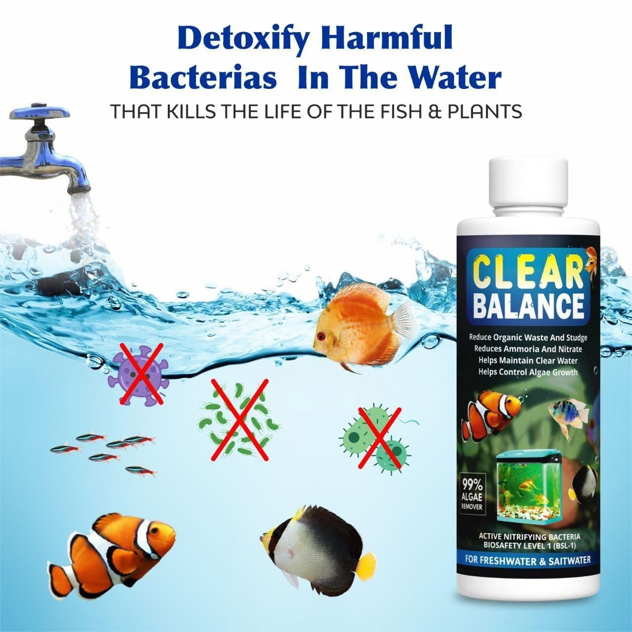 Clear Balance Fish Tank Water Purifier 🐟 (Buy 1 Get 1 Free)