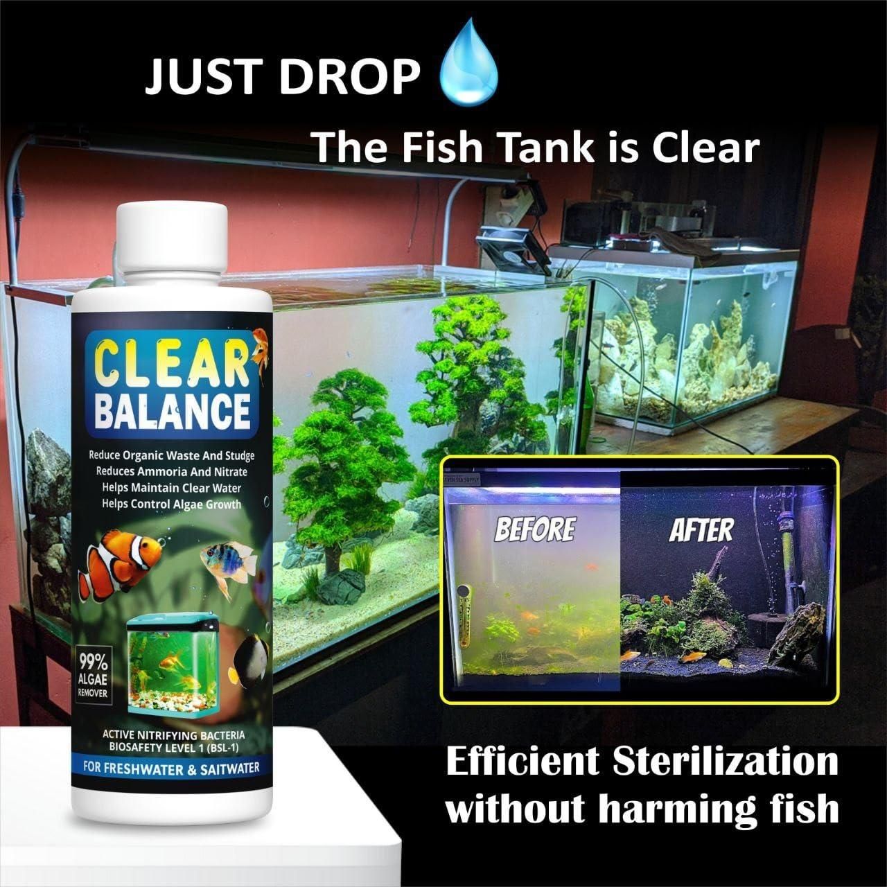 Clear Balance Fish Tank Water Purifier 🐟 (Buy 1 Get 1 Free)